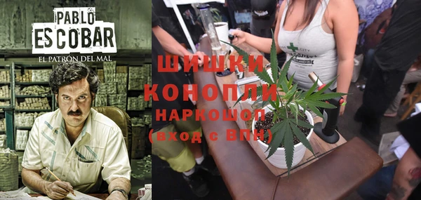 дурь Бородино