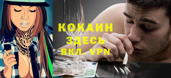 дурь Бородино